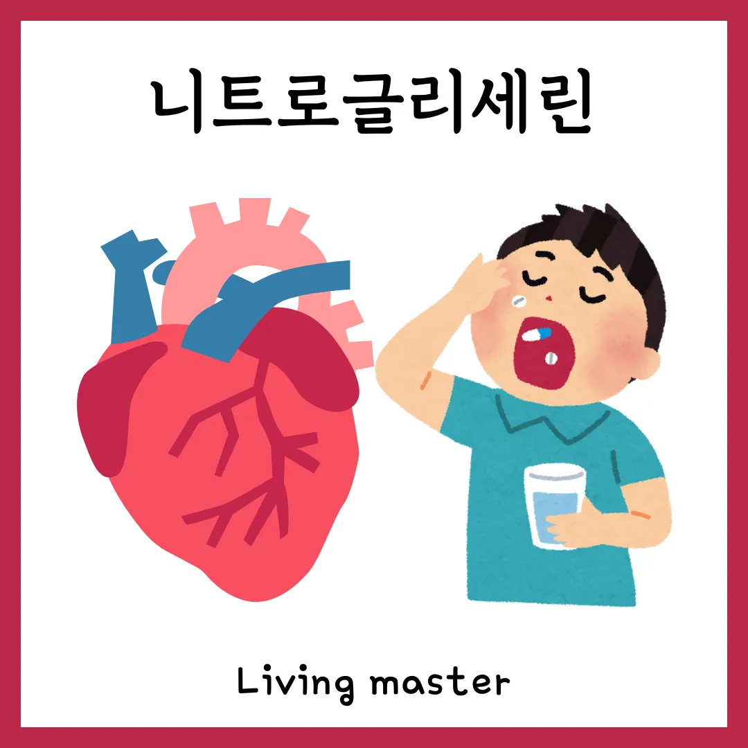 니트로글리세린 심혈관 질환 명약