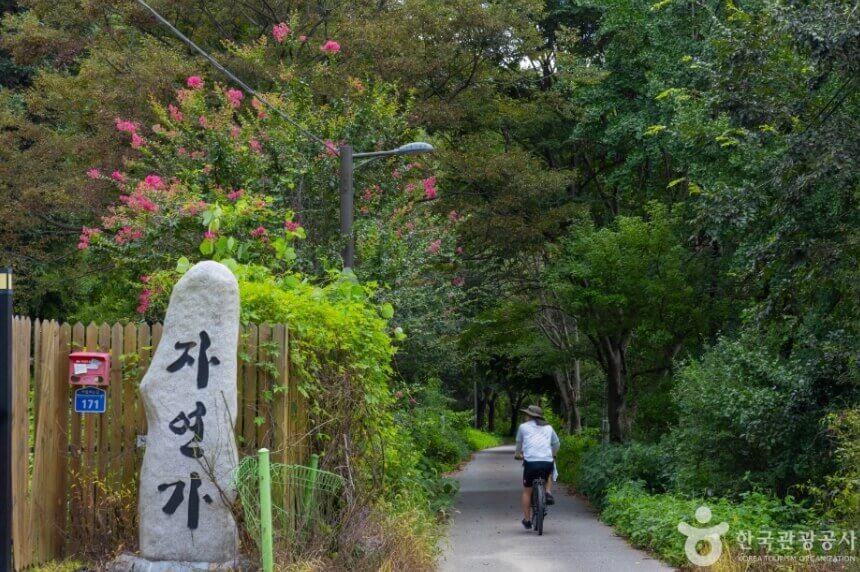전주 가볼만한곳 베스트 10