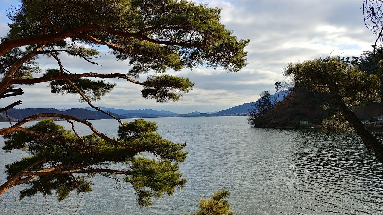 소나무가 어우러지는 호수 풍경 사진