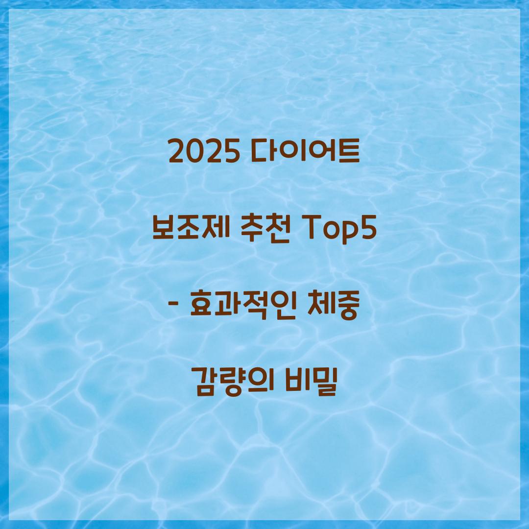 2025 다이어트 보조제 추천 Top5