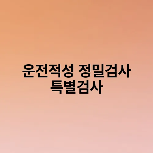 운전적성 정밀검사 특별검사
