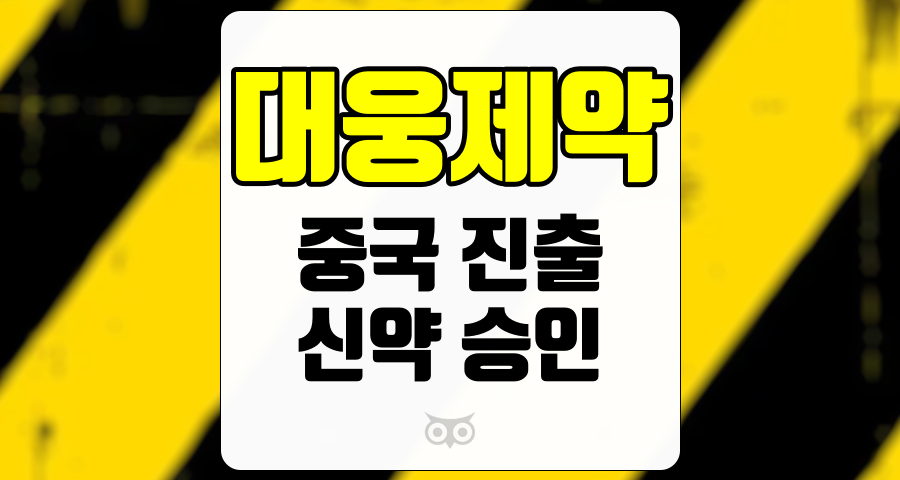 대웅제약, 중국 진출에 따른 성장 가능성과 투자 매력