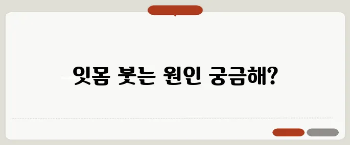 잇몸이 붓는 이유 정리 염증이나 치주질환이 원인일 수 있어요