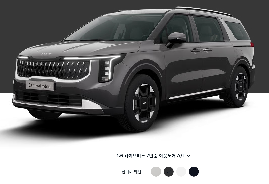 판테라 메탈(색상 코드 : P2M)