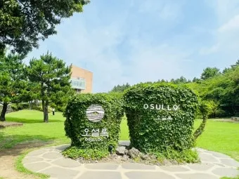 제주 오설록 티뮤지엄 관람 팁과 근처 카페 안내_5