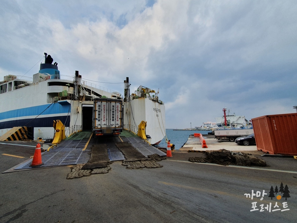 아리온 제주 차량 진입