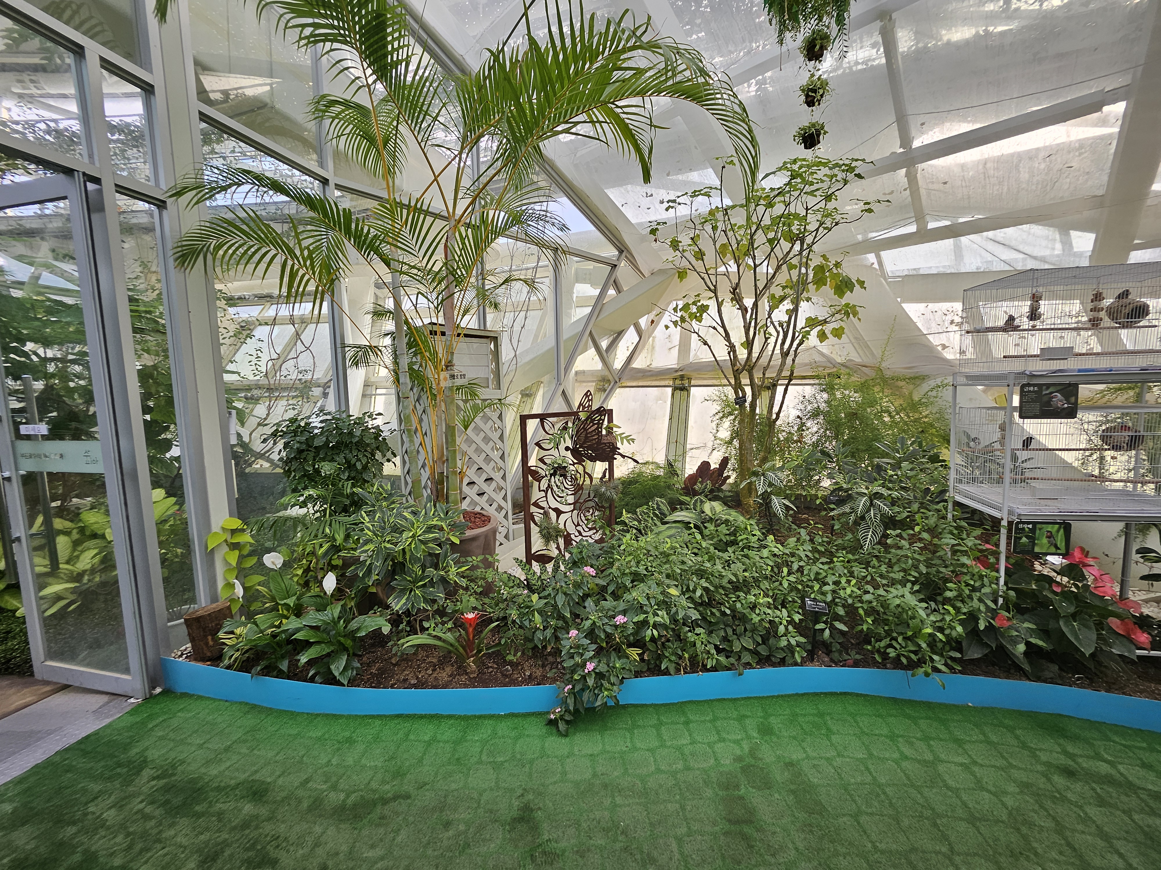 겨울 실내 아이와 가볼만한곳 부천호수공원 식물원 수피아