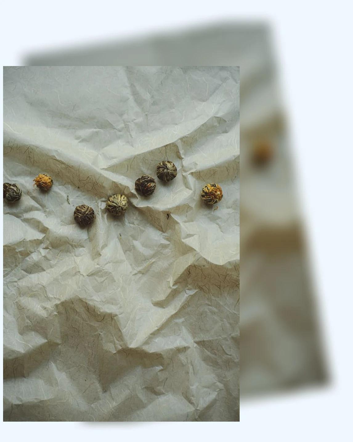 항산화_2_subsection