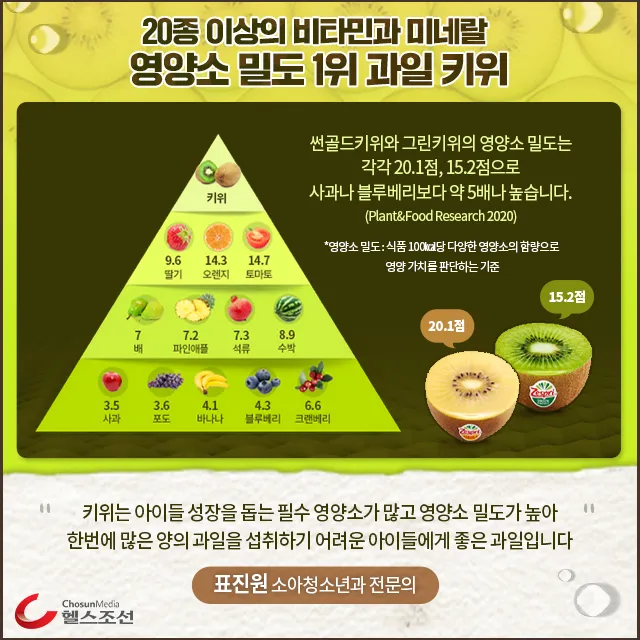 키위 효능과 부작용 비타민 풍부한 과일 정보_7