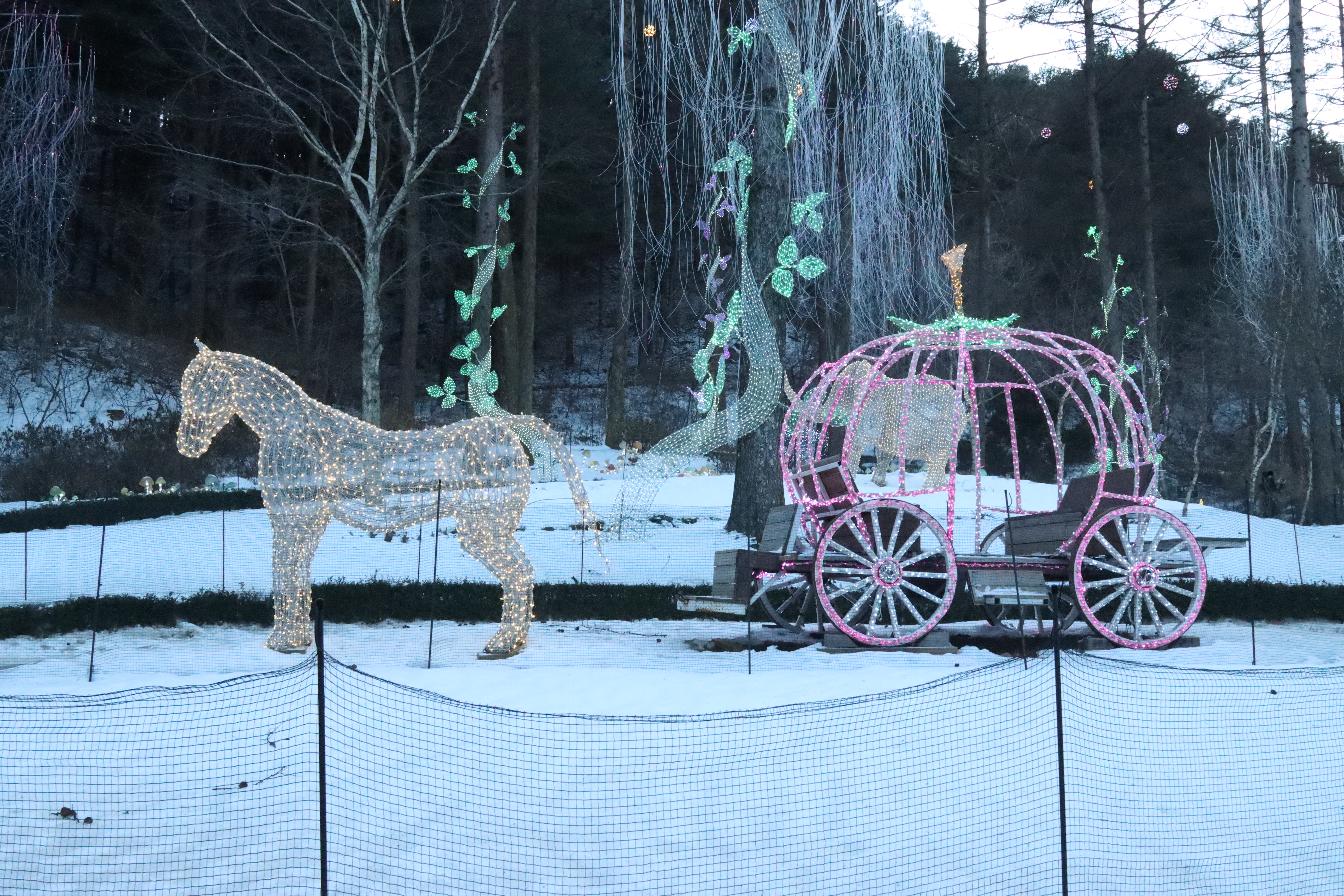 아침고요수목원