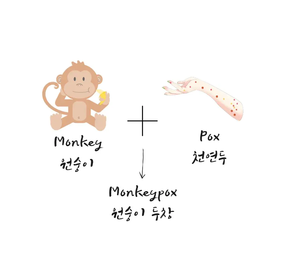 원숭이-두창-영어-로-monkey-pox