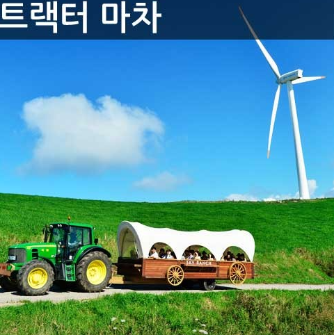  대관령 하늘목장