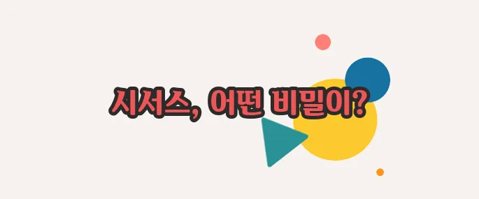 시서스 효능 이쯤에서 한번 알아볼까요