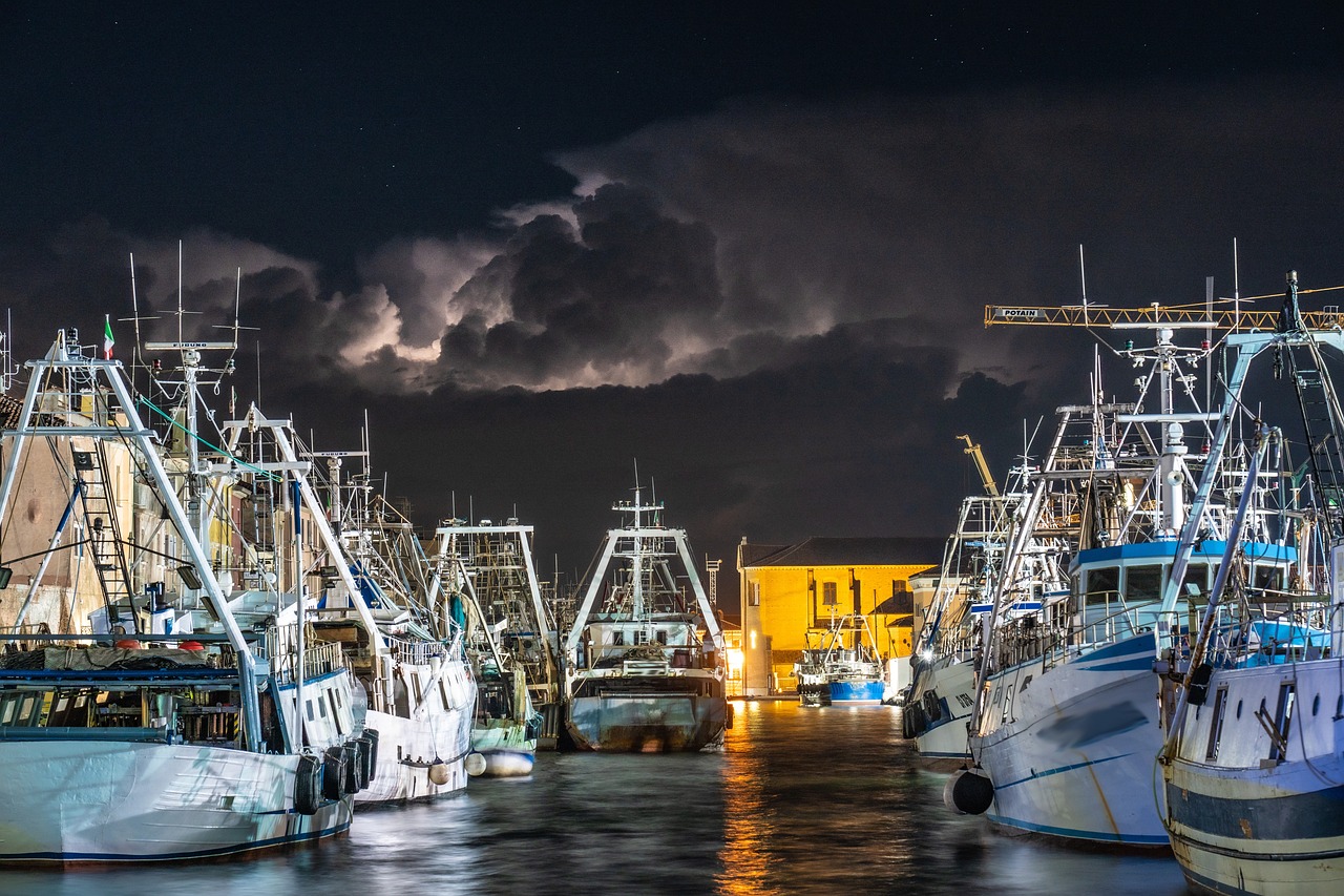 지속 가능한 어업 중 저층 트롤법의 문제와 해결책