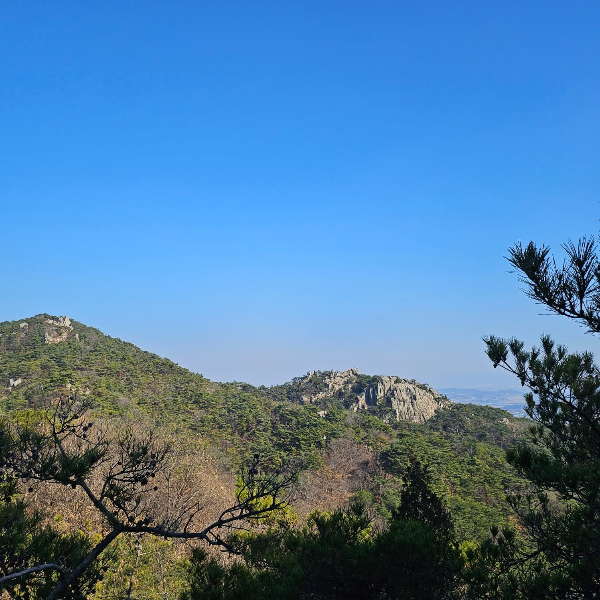 용바위가는길