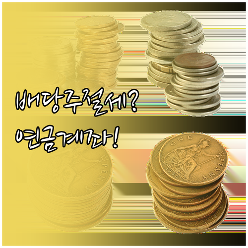 미국 배당주, 연금계좌에 담으면 세금..