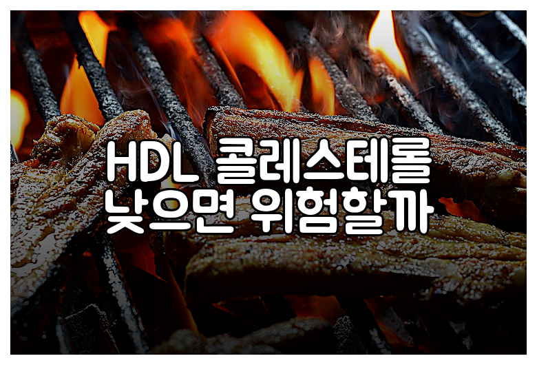 HDL 콜레스테롤 낮으면 위험할까