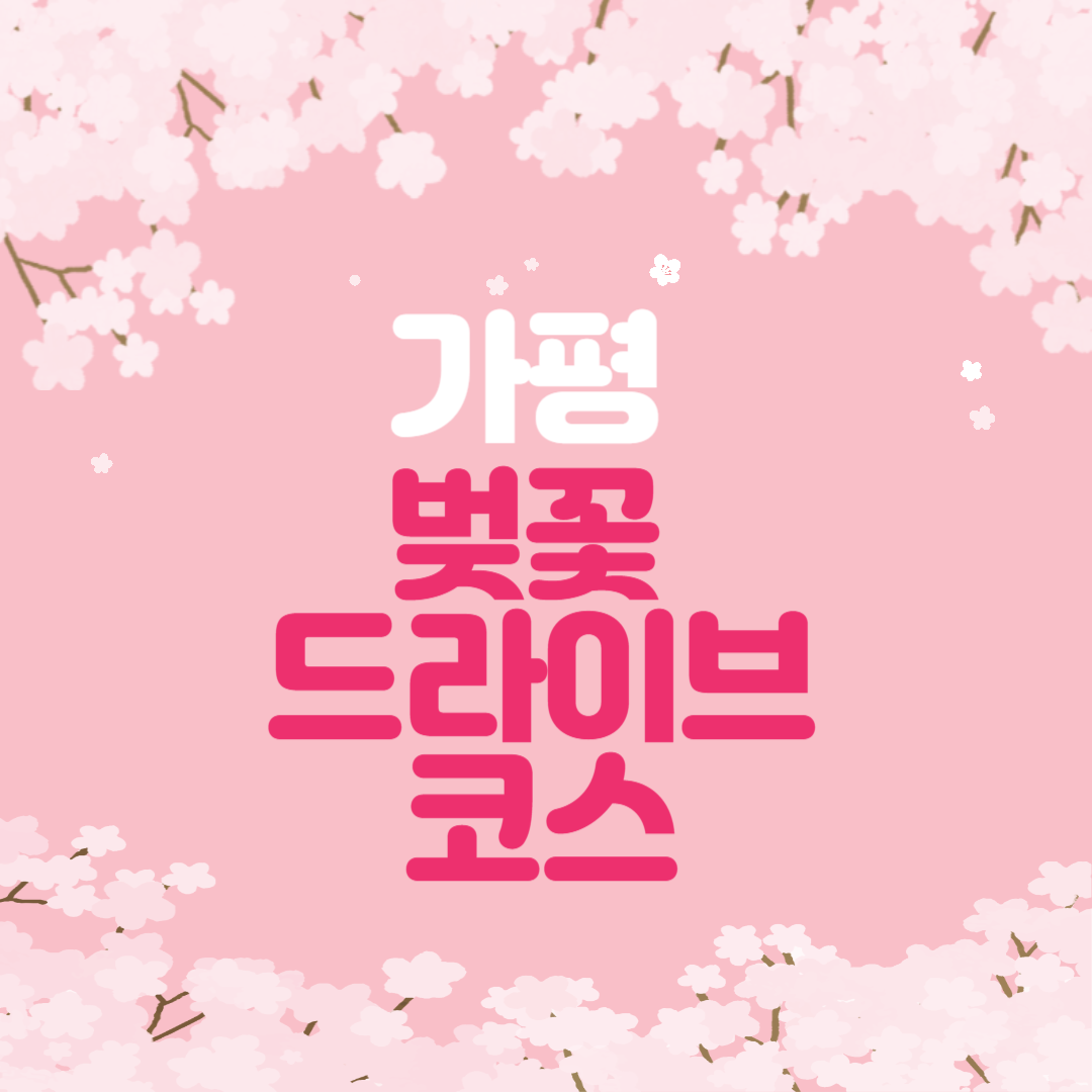 가평 벚꽃 드라이브 코스 벚꽃터널