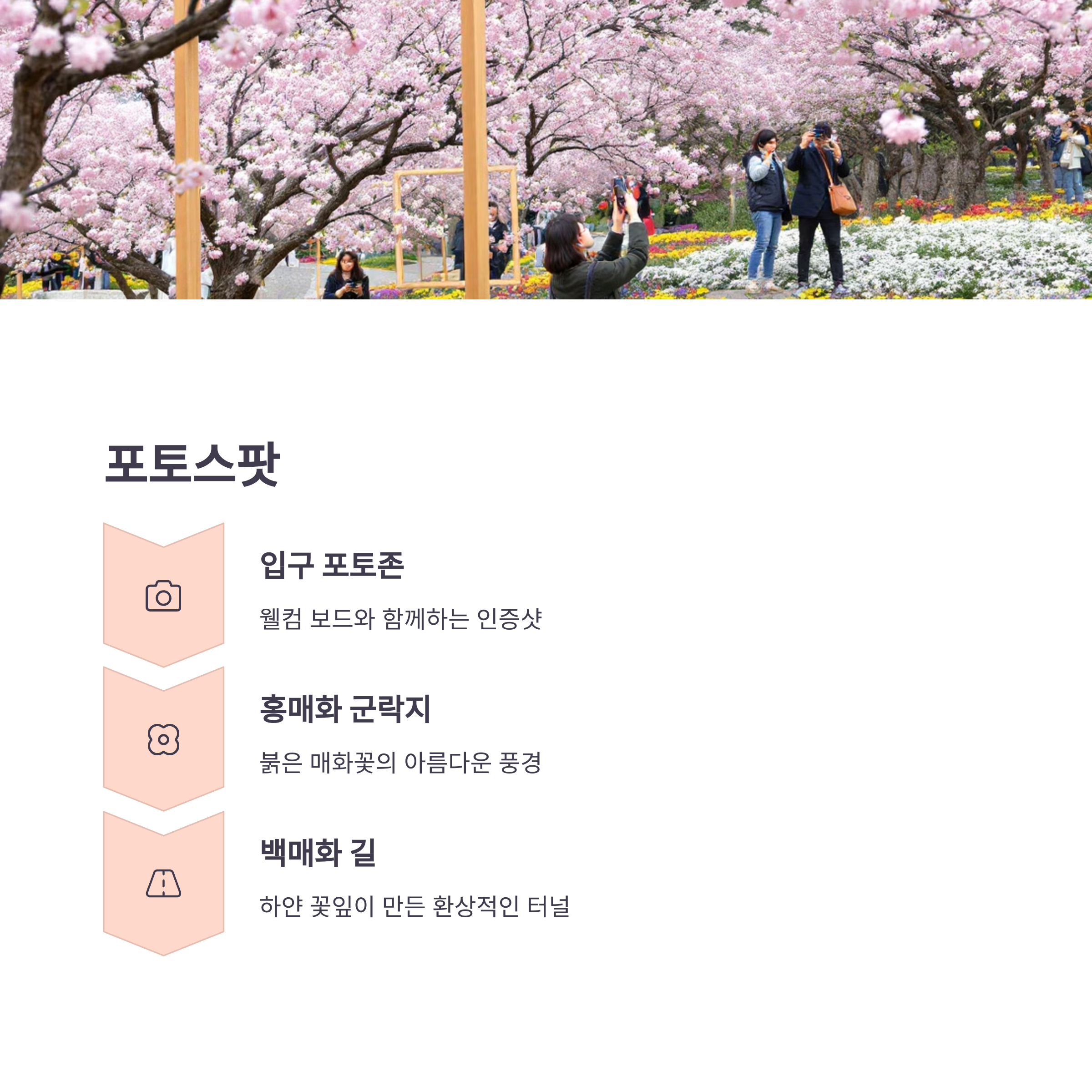 부산 기장매화원