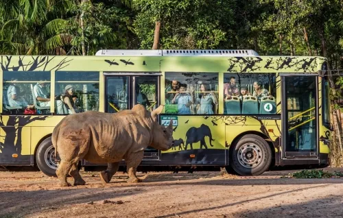 푸꾸옥-사파리-버스-투어-아이-휴식