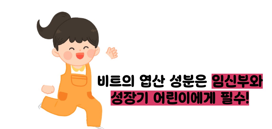 비트 효능 및부작용