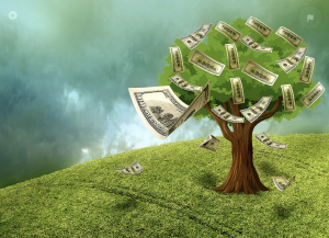 현금 비중 조절: 언제 투자하고, 언제 현금을 보유해야 할까?