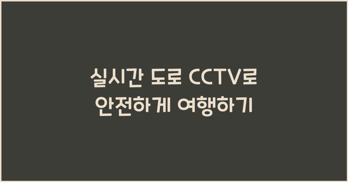 실시간 도로 cctv