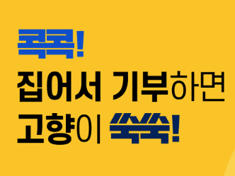 고향사랑기부제