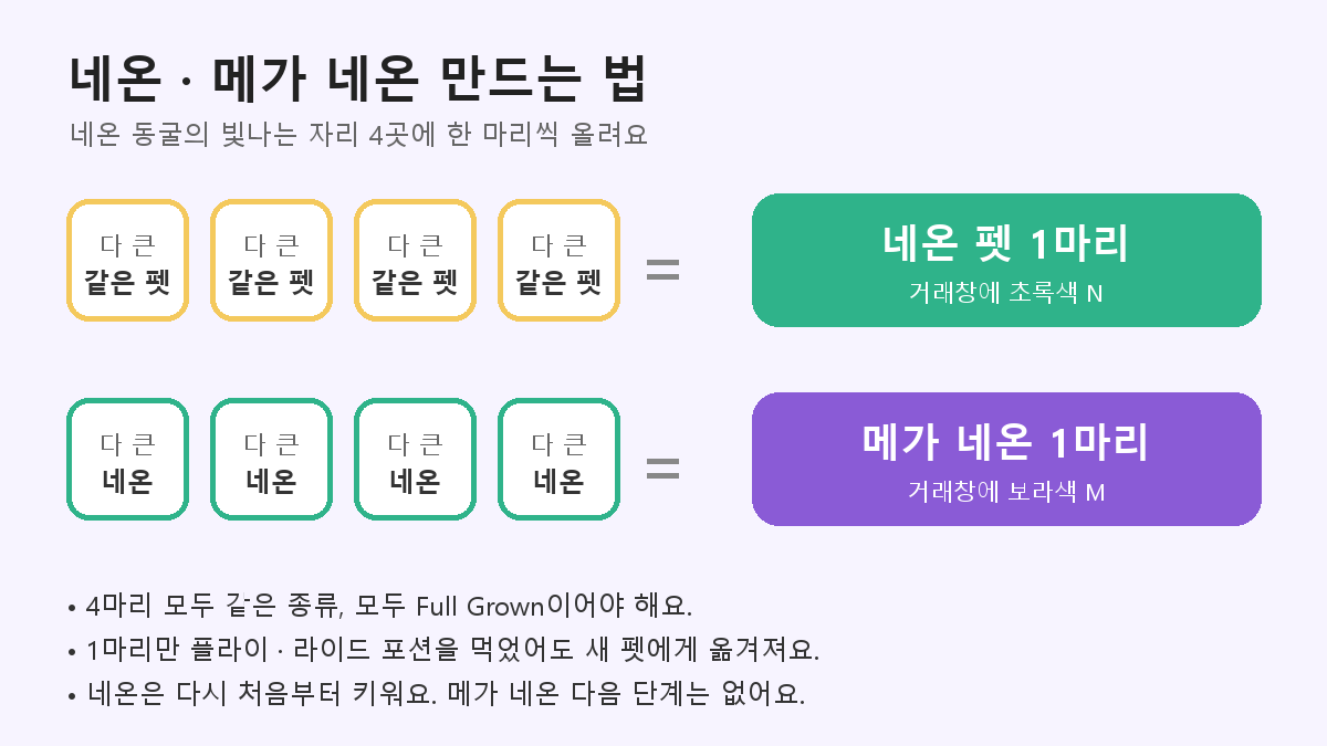 네온 만들기: 다 큰 같은 펫 4마리는 네온 1마리, 다 큰 네온 4마리는 메가 네온 1마리