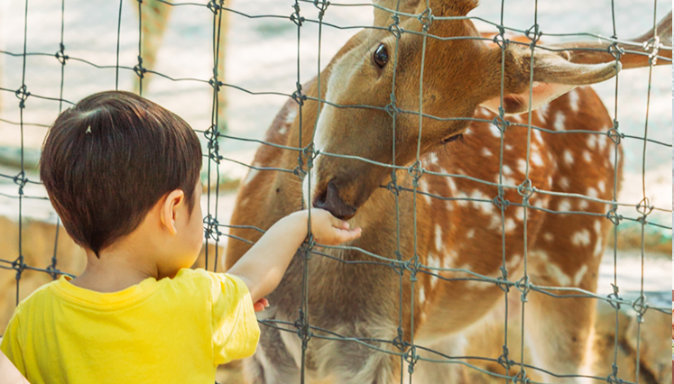 서울숲 생태시설