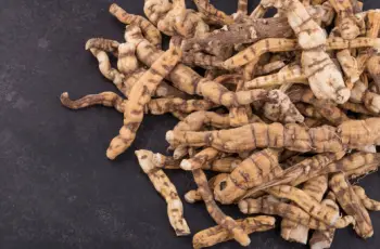 백수오 효능 및 영양성분&amp;#44; 주의점