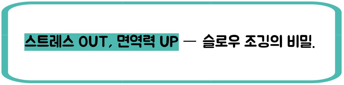 슬로우 조깅 효과