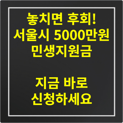 놓치면 후회! 서울시 5000만원 민생지원금 지금 바로 신청하세요