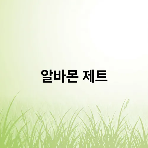 알바몬 제트