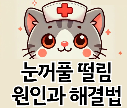 눈꺼풀떨림, 혹시 건강 이상 신호? 원인과 치료법 알아보기