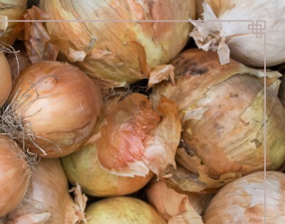 양파즙 효능 고혈압