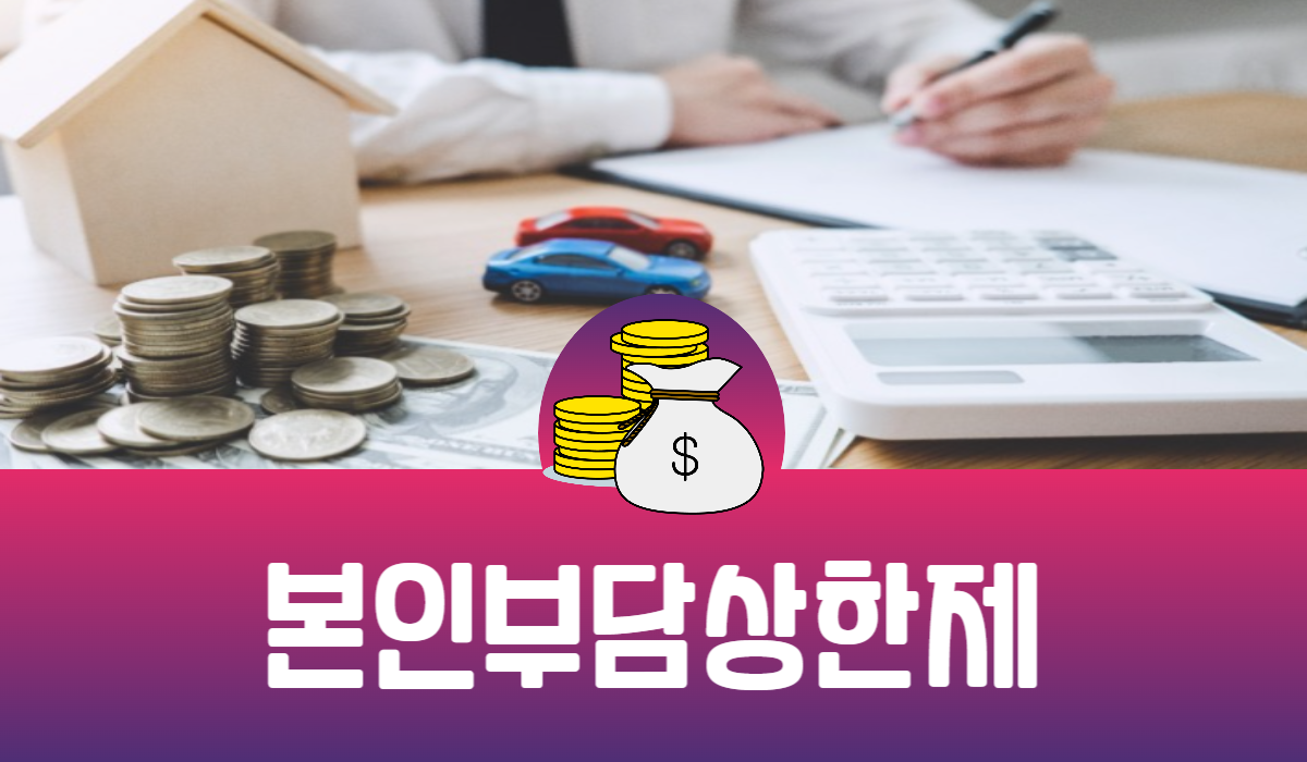 본인부담상한제