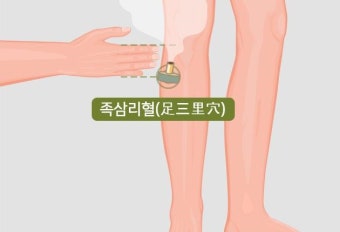 쑥뜸 혈자리 위치 BEST 10 : 효과별 뜸 자리 총정리