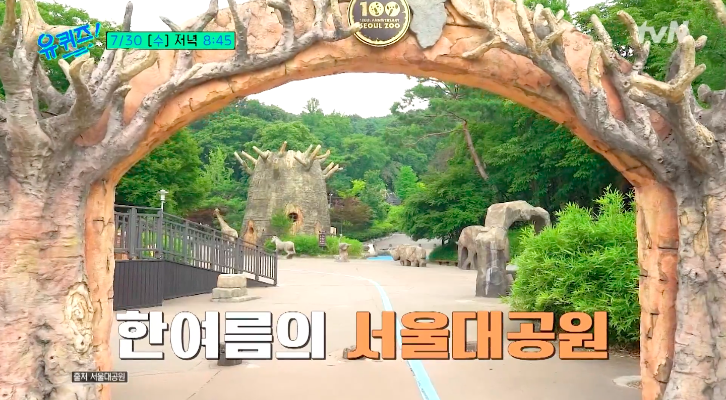 🦁 유퀴즈 304회 특집! 국내 유일 동물영양사 송태욱의 놀라운 세계 🐘