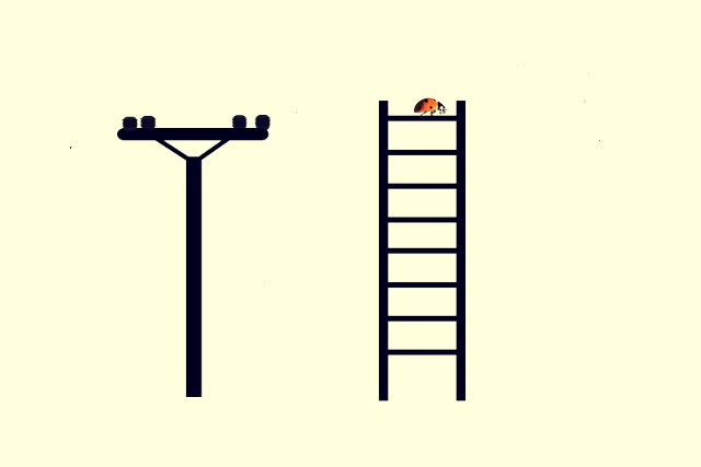 사다리와 전봇대 이미지