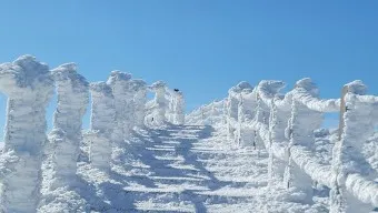 한라산 탐방로예약 시스템 등산 코스_2