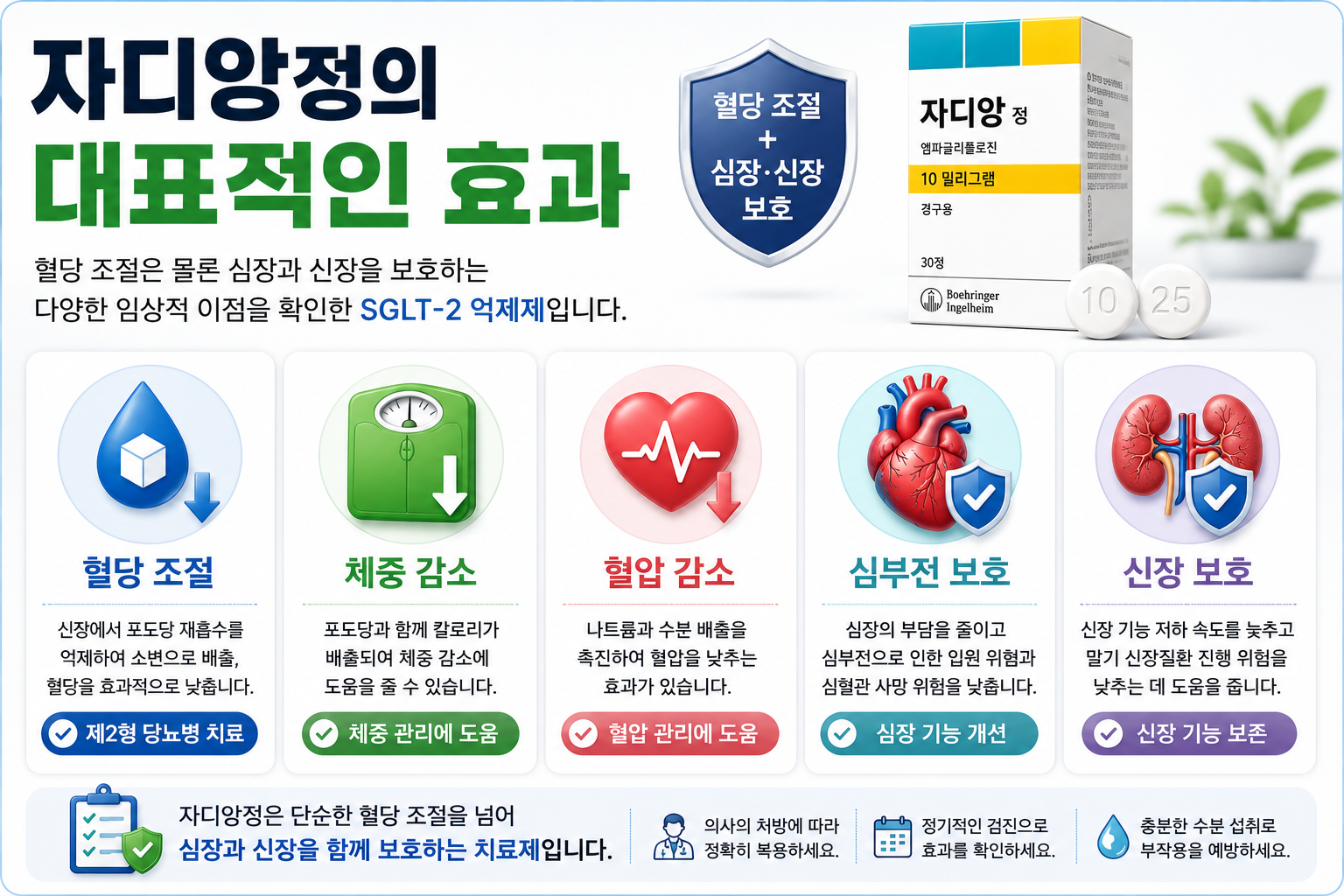 자디앙정-대표효과-혈당조절-체중감소-심장보호-신장보호