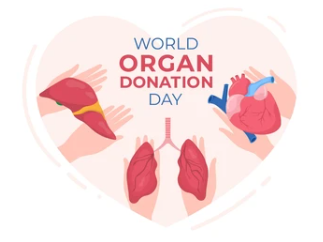 장기기증 신청방법