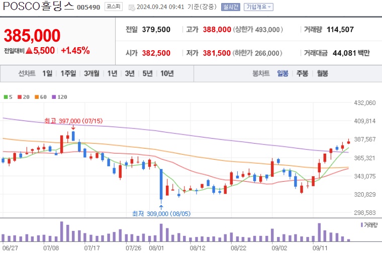 포스코홀딩스 주가 (0924)