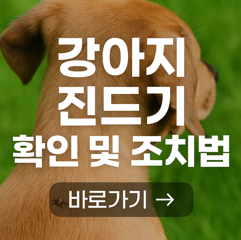 봄철 강아지 진드기 주의사항 및 예방 총정리