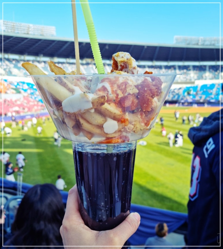 야구-직관-자리-응원-8