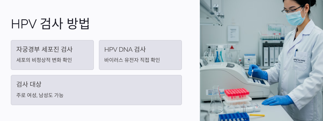 HPV 검사 방법
