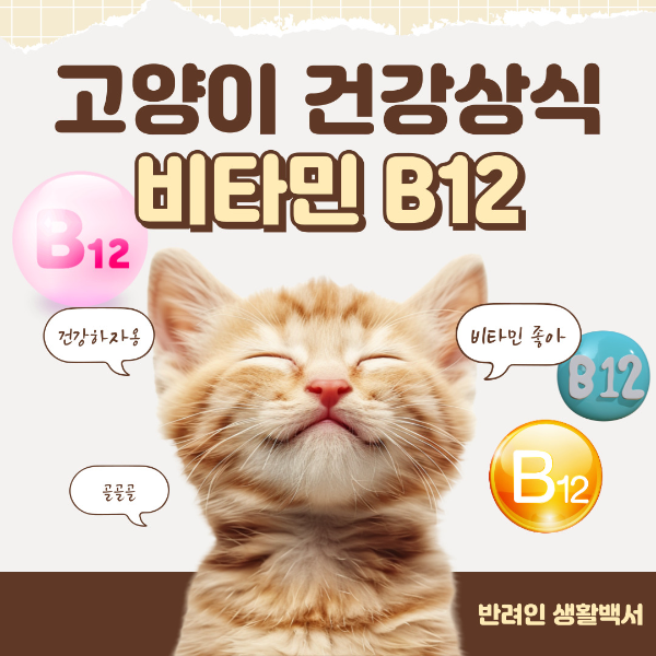 건강상식