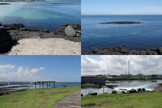 노약자 장애인을 위한 제주도 무장애여행 추천지 - 행원리 풍차마을