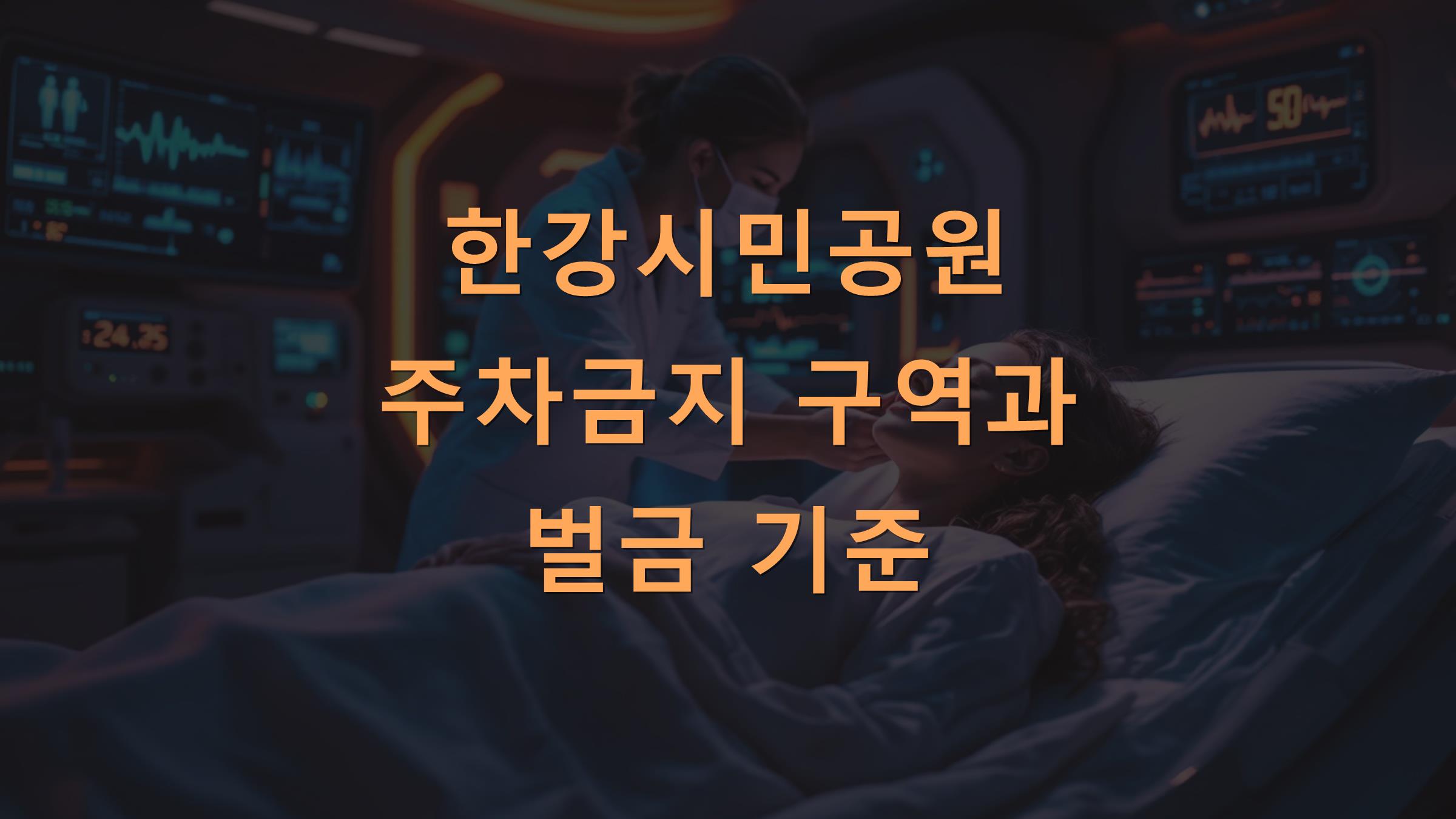 한강시민공원 주차금지 구역과 벌금 기준